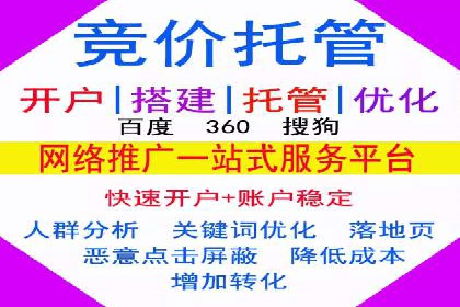 SEM推广案例：效果评估与改进
